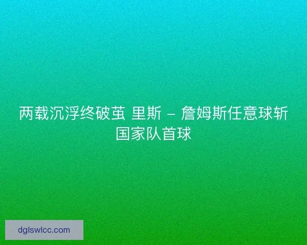 两载沉浮终破茧 里斯 - 詹姆斯任意球斩国家队首球