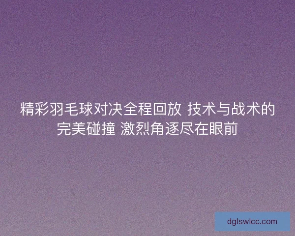 精彩羽毛球对决全程回放 技术与战术的完美碰撞 激烈角逐尽在眼前