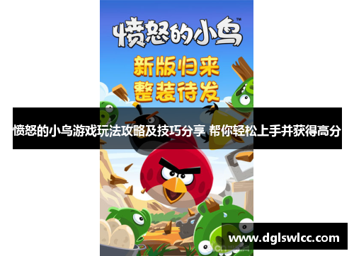 愤怒的小鸟游戏玩法攻略及技巧分享 帮你轻松上手并获得高分